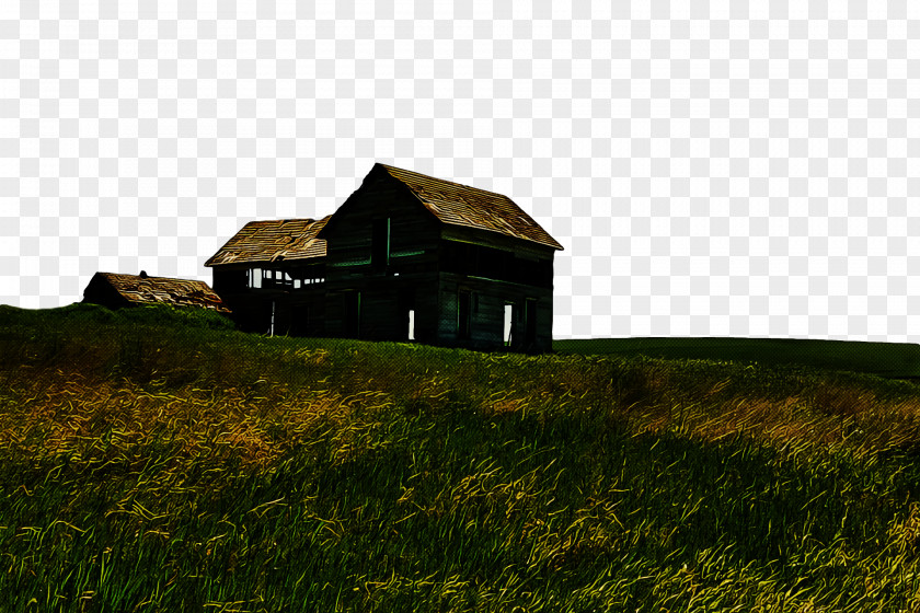 Ecosystem Grassland Rural Area Roof Property PNG