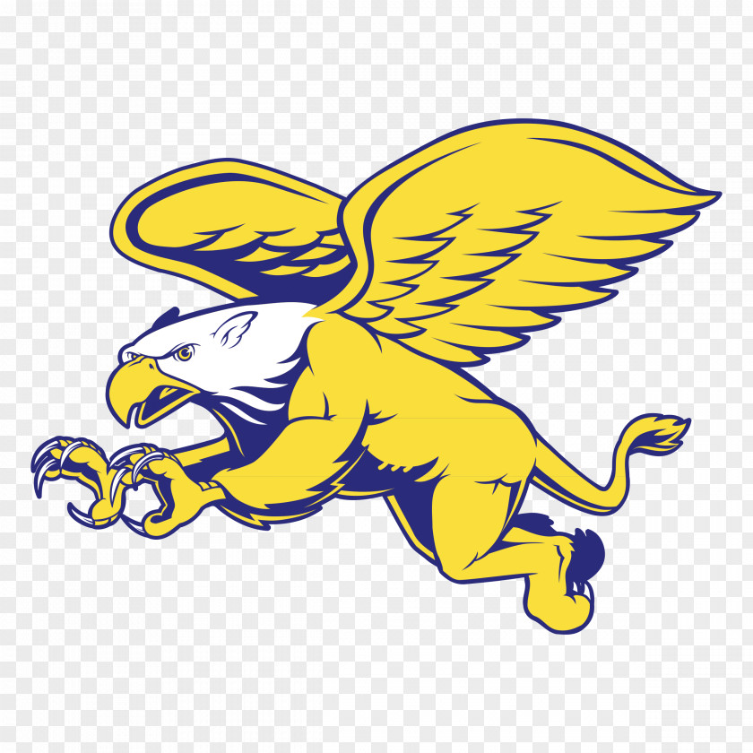 Griffin Canisius College Golden Griffins Women's Basketball Men's Baseball Football PNG