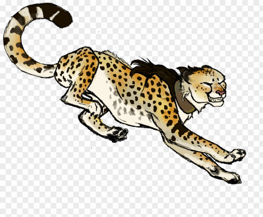 Hyena Cheetah Cat Lion Drawing PNG