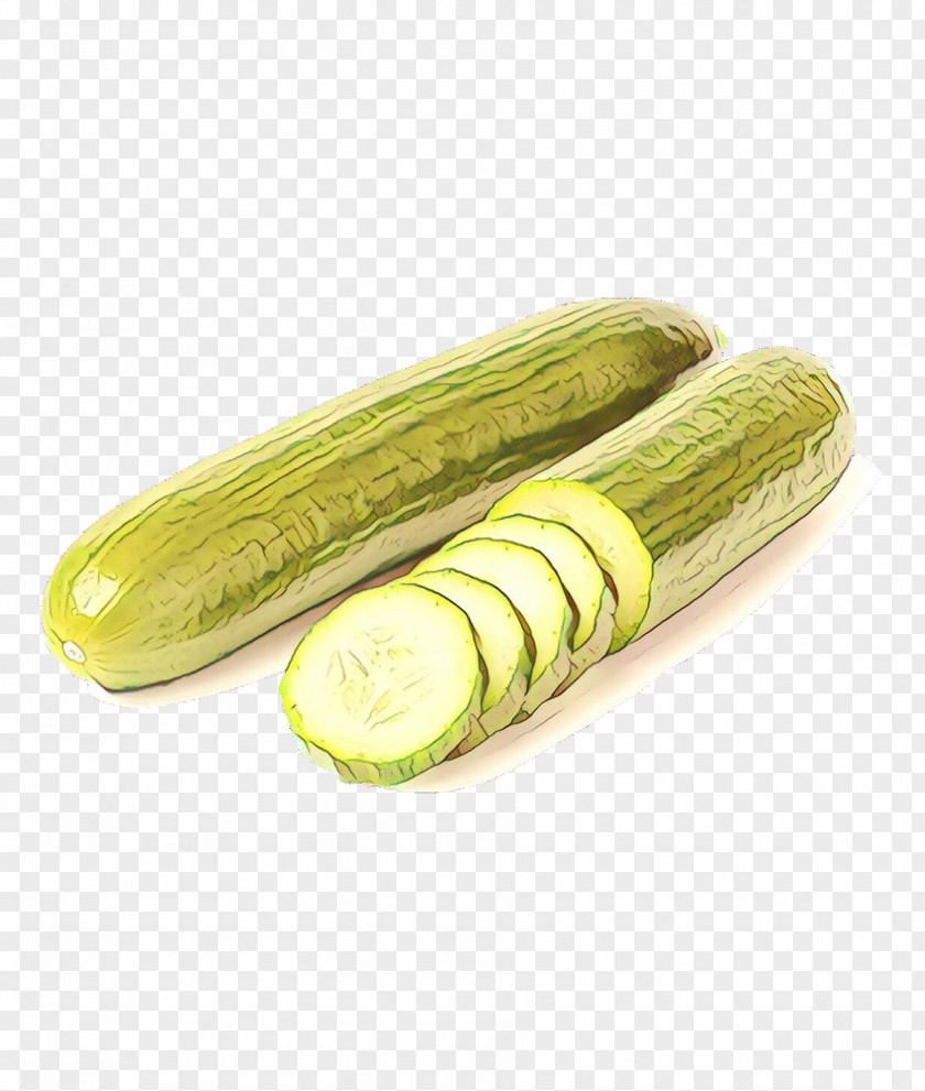 Luffa Armenian Cucumber Summer Plant PNG