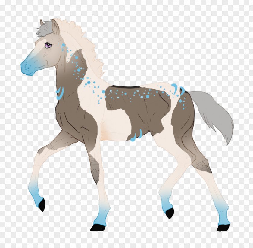 Mustang Foal Stallion Colt Mare PNG