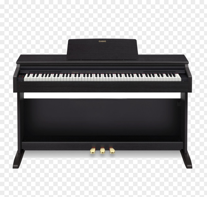 Piano Digital Casio Privia Action PNG