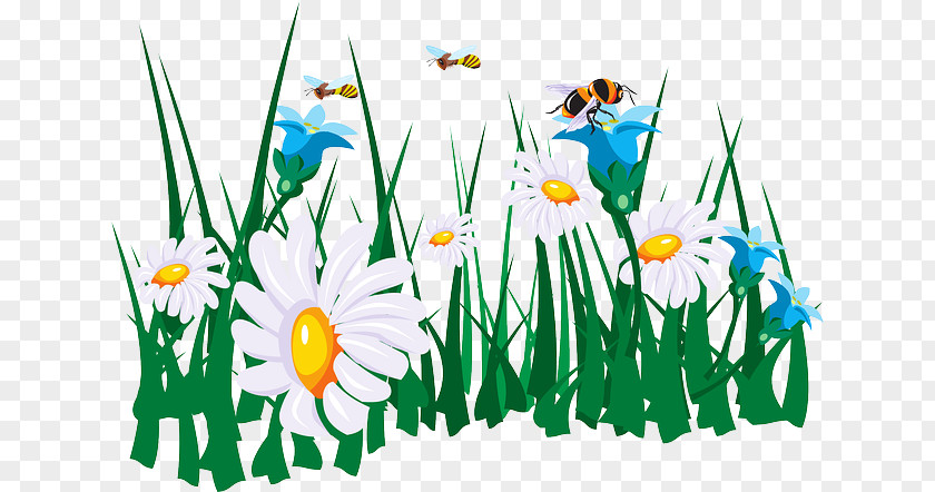 Rumput Honey Bee Flower Bumblebee Clip Art PNG