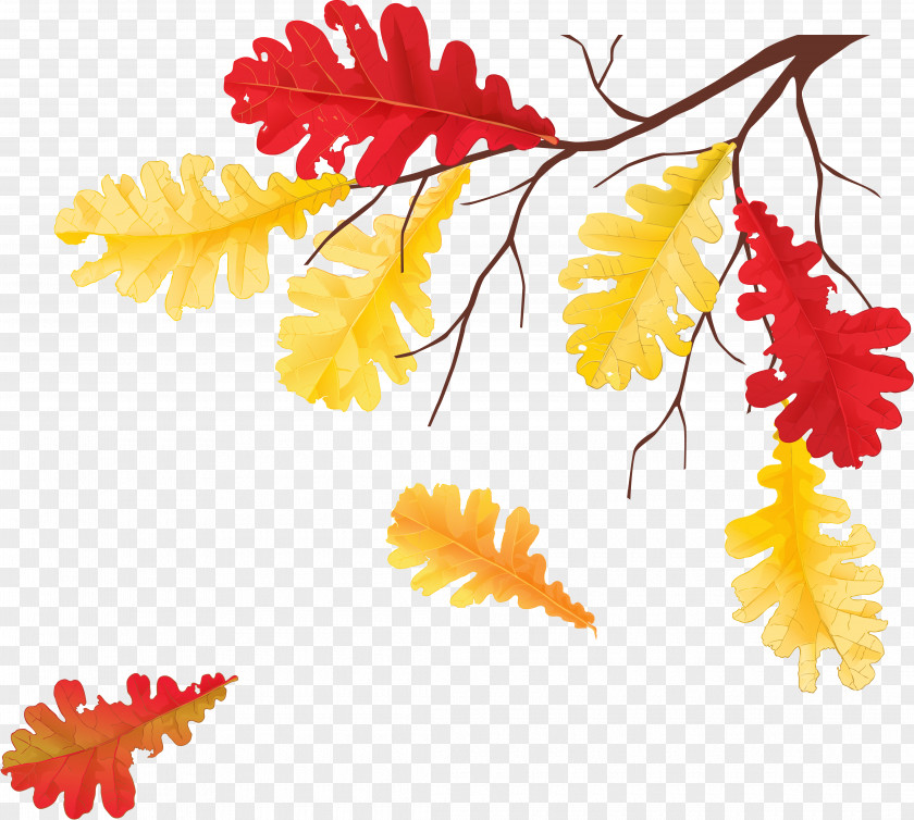 Autumn Leaves Leaf Tree Clip Art PNG