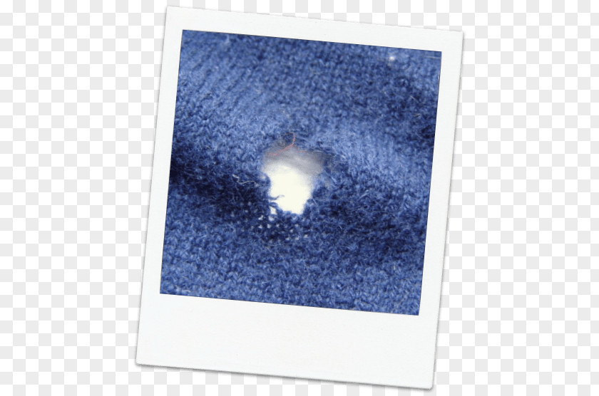 Clothing Hole Sweater Wool Common Clothes Moth Darning PNG
