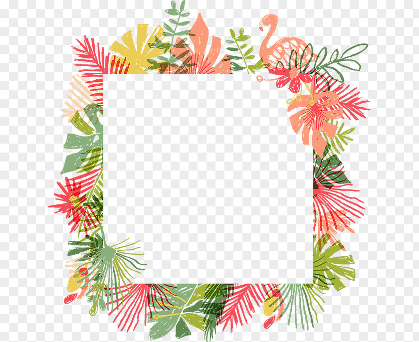 Picture Frame PNG