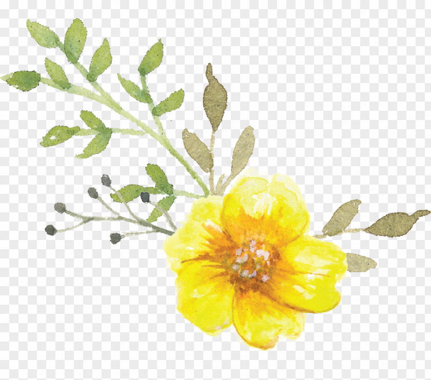 Tube Flower Bouquet Petal Cut Flowers Etsy PNG