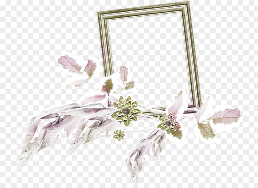 Floral Design Photography Picture Frames PNG