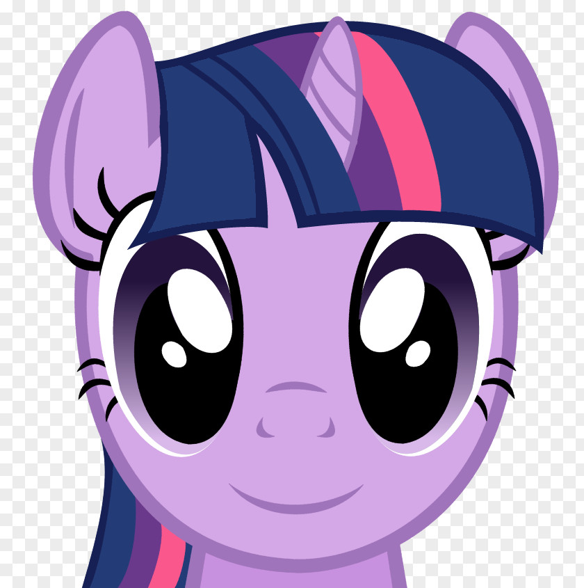 Ghost Shadow Rainbow Dash Pinkie Pie Rarity Pony Twilight Sparkle PNG