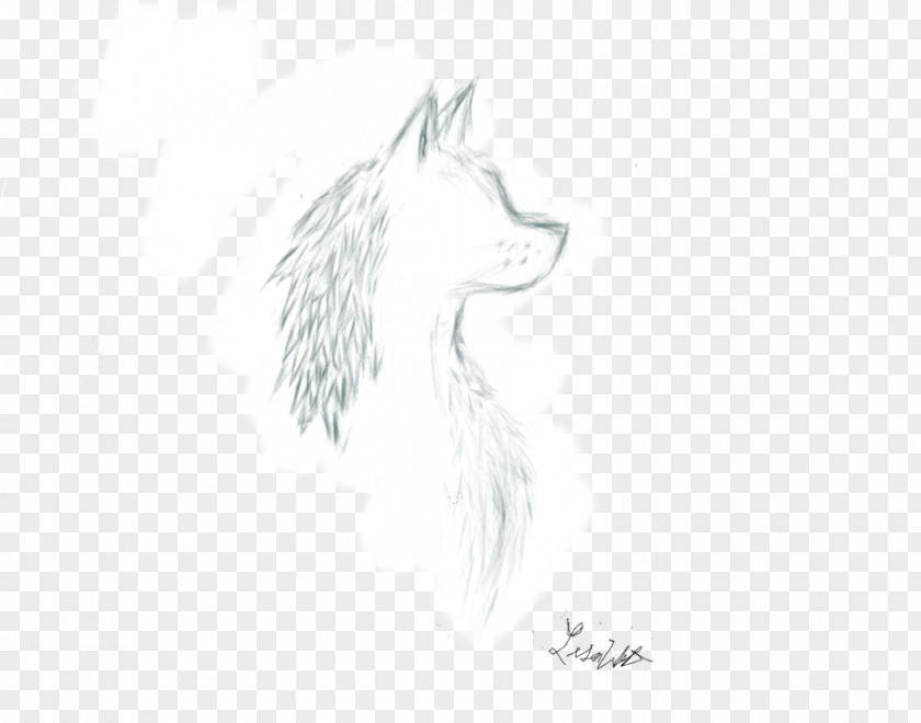Wolf-head Drawing Canidae Dog Line Art Sketch PNG
