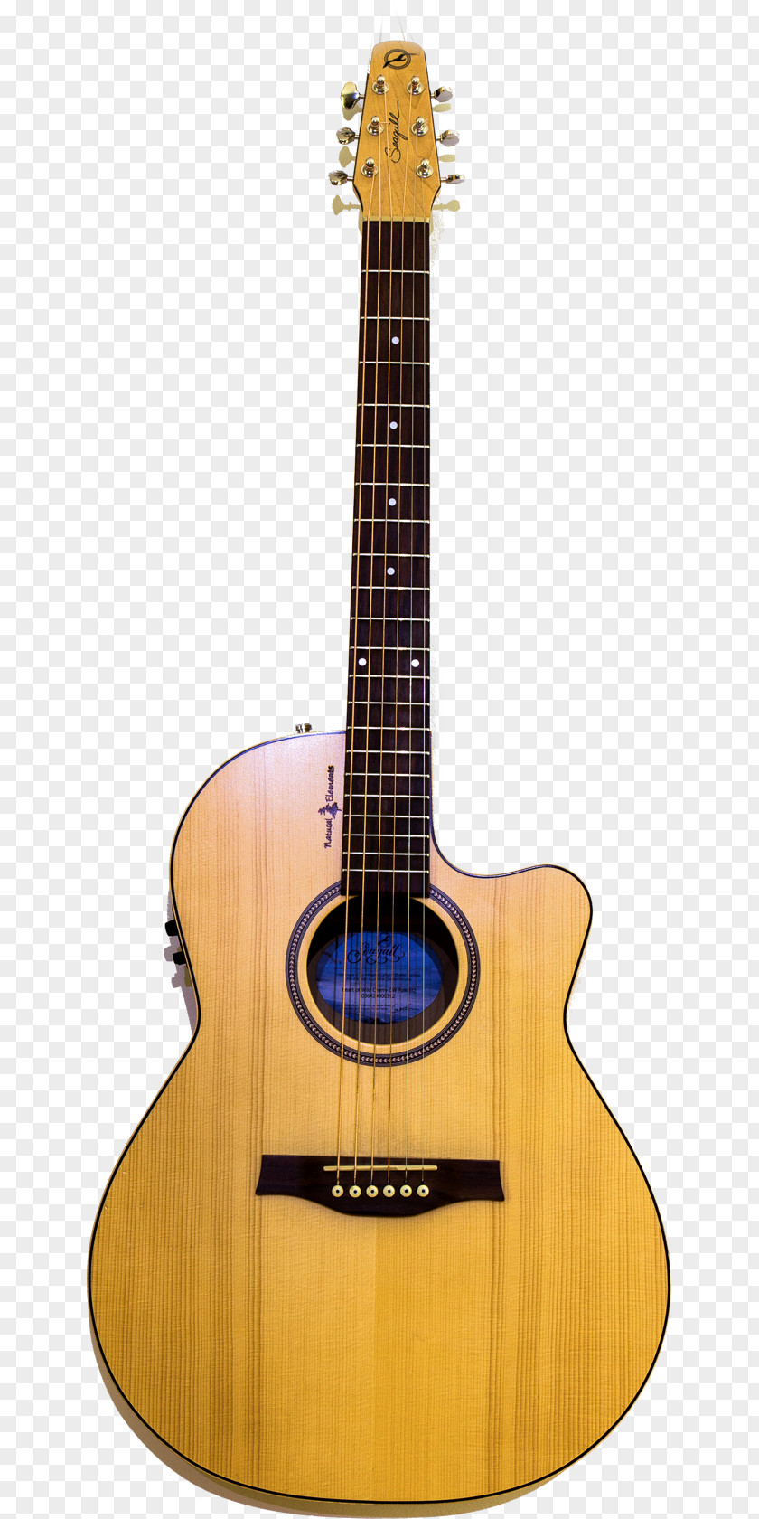 Acoustic Guitar Acoustic-electric Tiple Cuatro Cavaquinho PNG