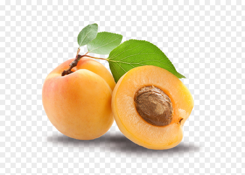 Apricot Kernel Oil Amygdalin PNG