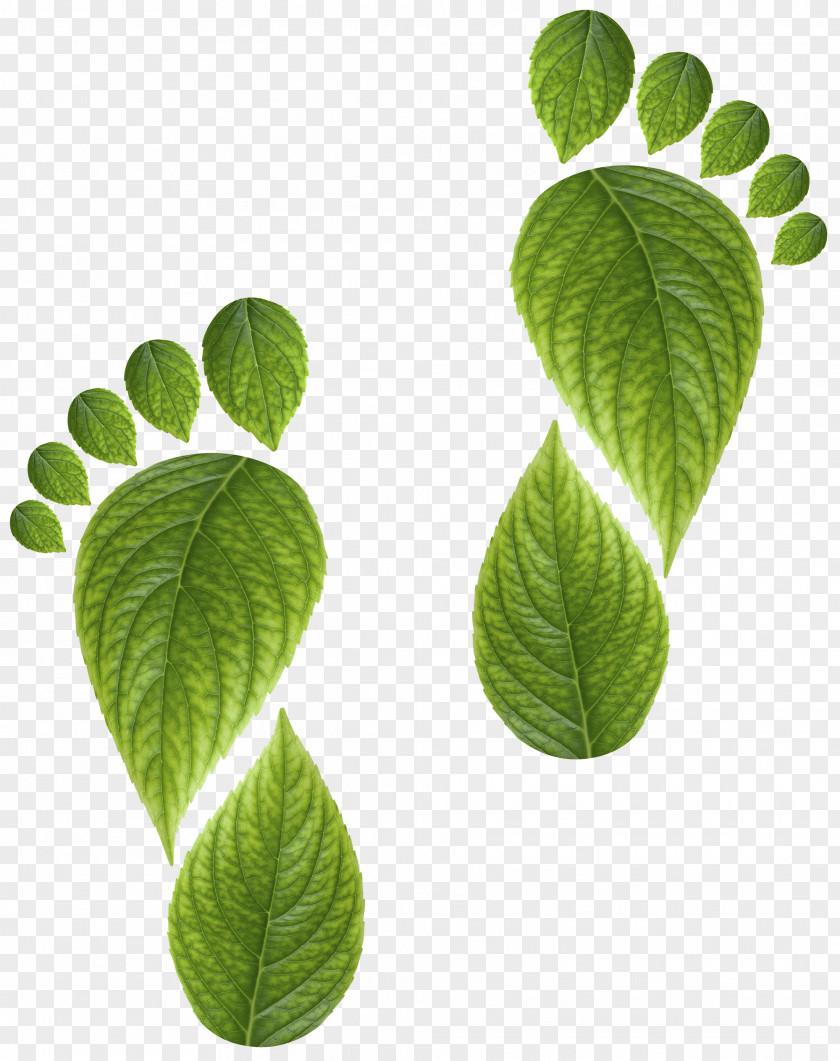 Child Footprint PNG