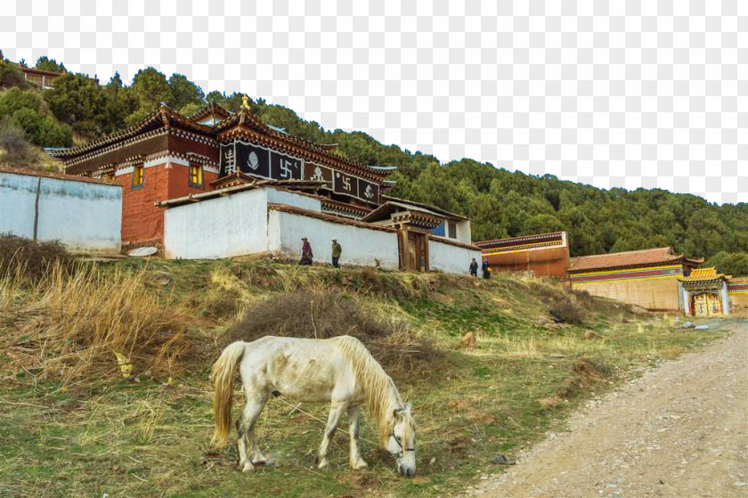 Of Warehouse Lang Musaichisi Longevity Temple Buddhist Buddhism PNG