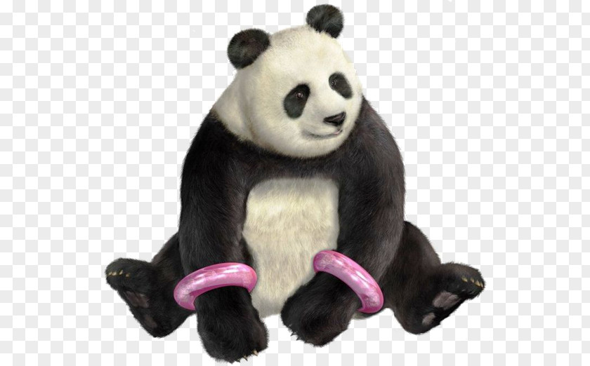 Panda Tekken 3 Tag Tournament 2 6 4 PNG