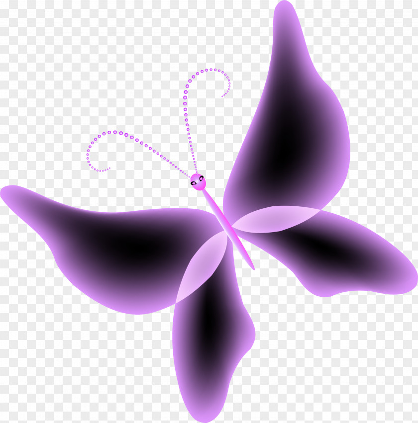 Purple Butterfly PNG