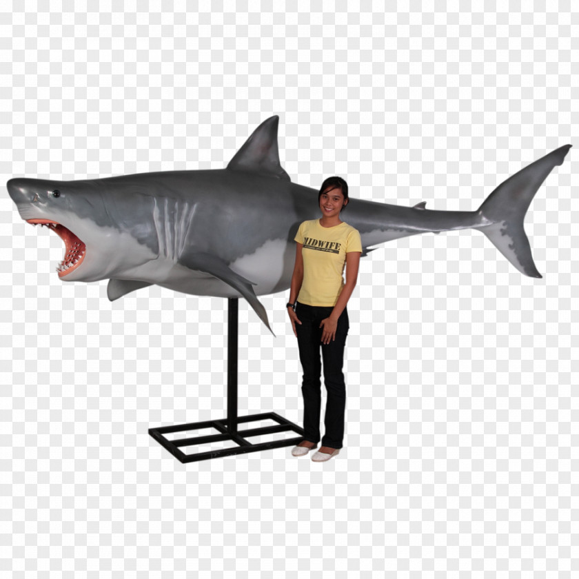 Real Decoration Great White Shark Blacktip Reef Fish PNG