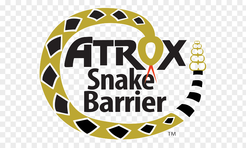 Think Fast Stroke Logo Snakes Brand Clip Art Organization PNG