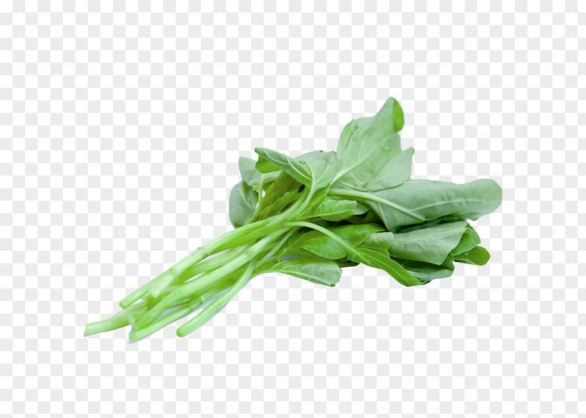 Vegetable Spinach Salad Indian Cuisine Vegetarian PNG