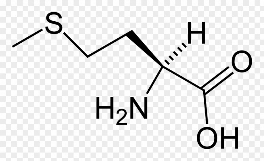 Aspartic Acid Essential Amino Amine PNG