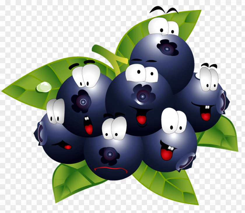 Blackberry Villain Wine Fruit Blackcurrant Frutti Di Bosco Kompot PNG