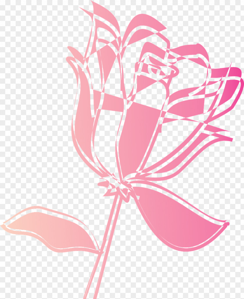 Hand Painted Flower Drawing PNG