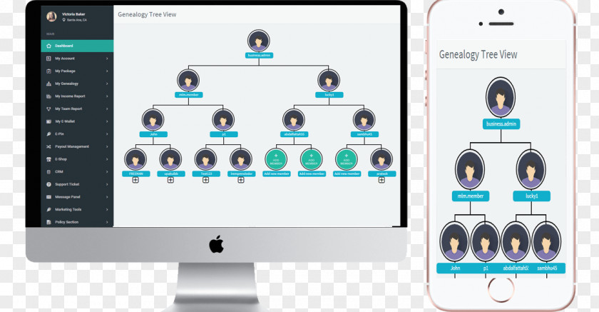 Mlm Genealogy Family Tree Structure Computer Software PNG