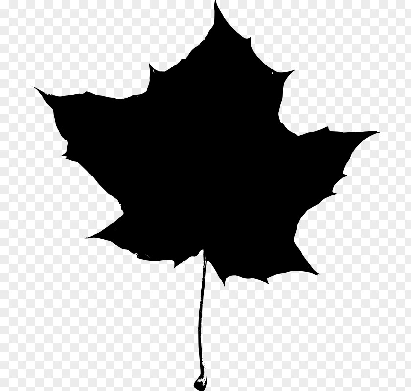 Free Silhouette Images Maple Leaf Clip Art PNG