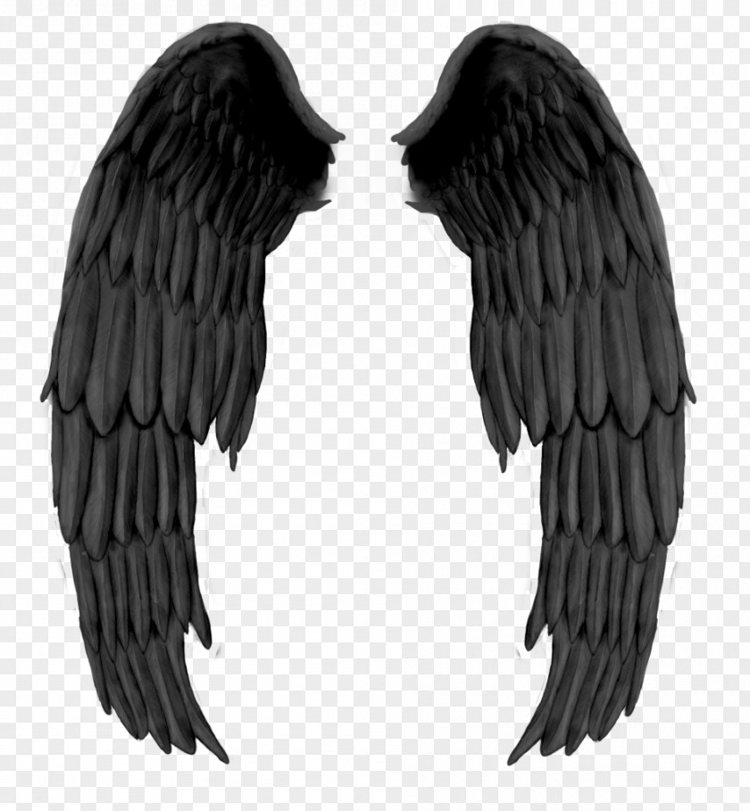 Black Evil Wings DeviantArt Angel Drawing PNG