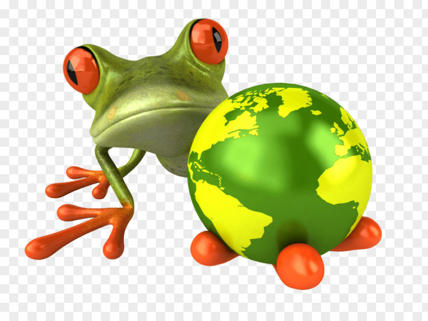 Frog Glass Clip Art Stock Photography PNG