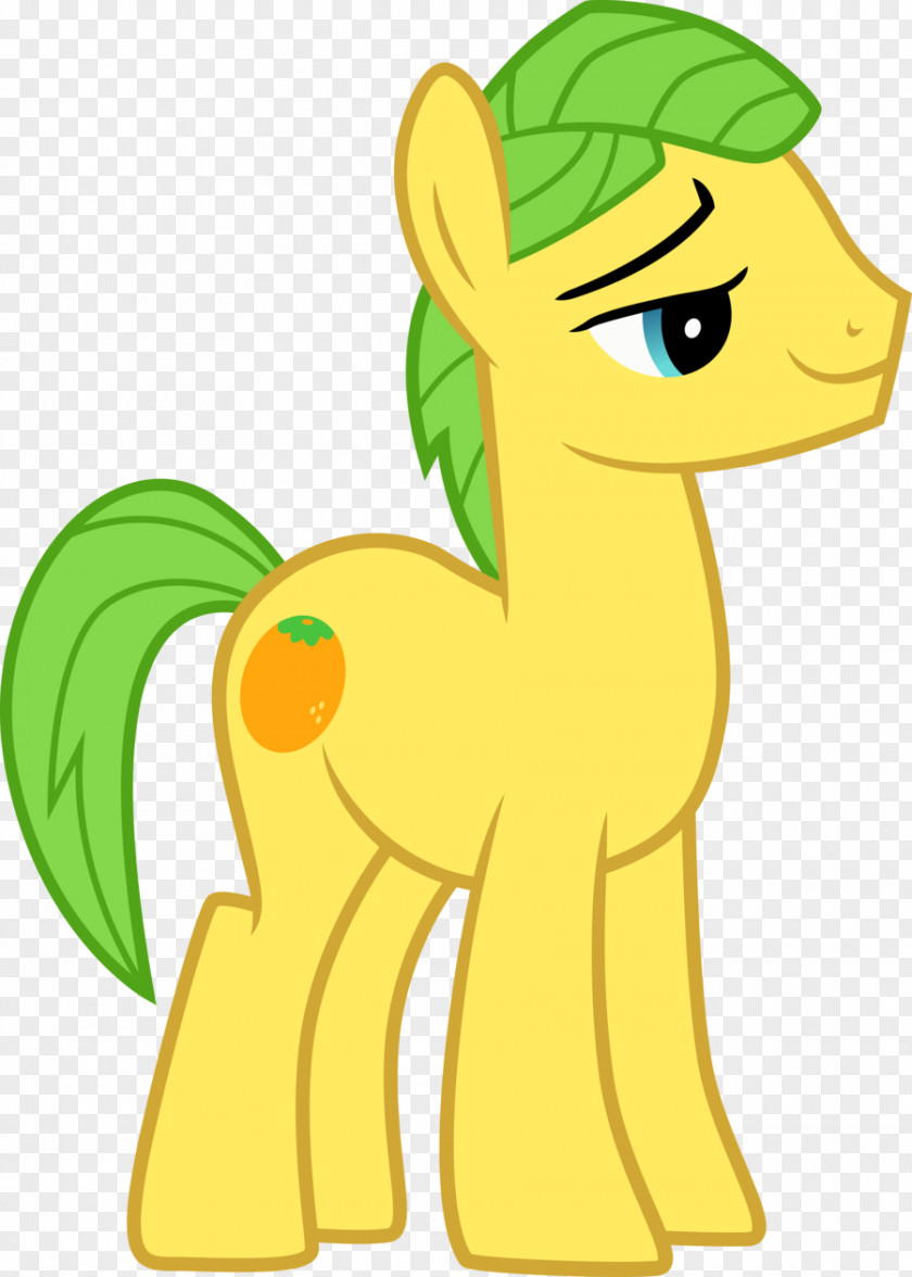 Uncle Applejack Pinkie Pie My Little Pony Flash Sentry PNG