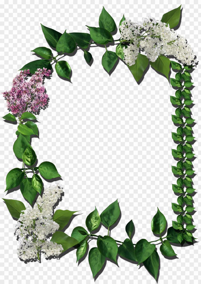 Virat Picture Frames Flower PNG