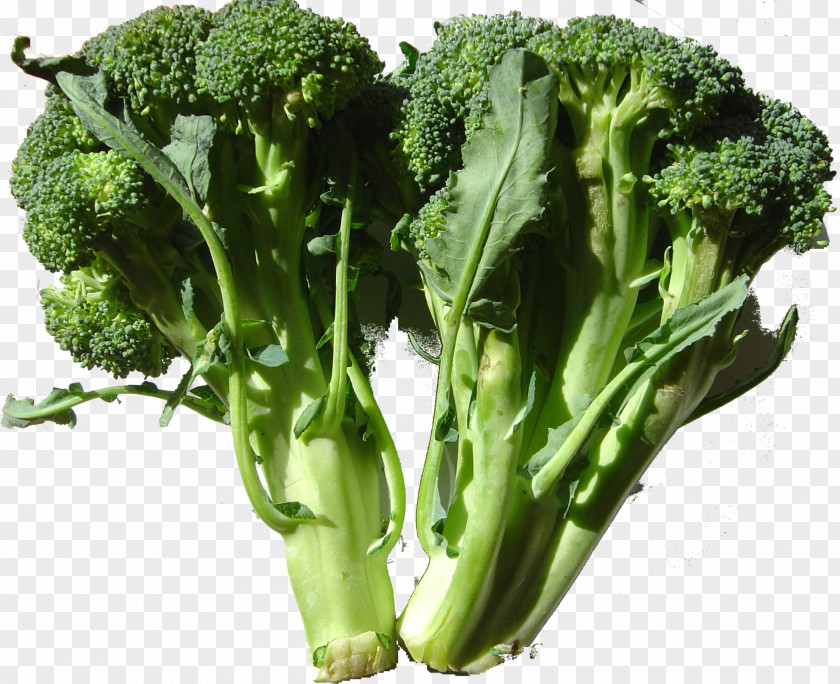 Broccoli Romanesco Cabbage Cauliflower Kohlrabi PNG