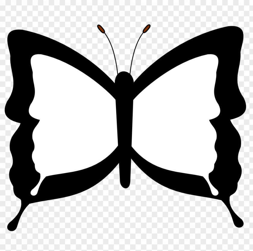 Butterfly Drawings Black And White Drawing Coloring Book Clip Art PNG