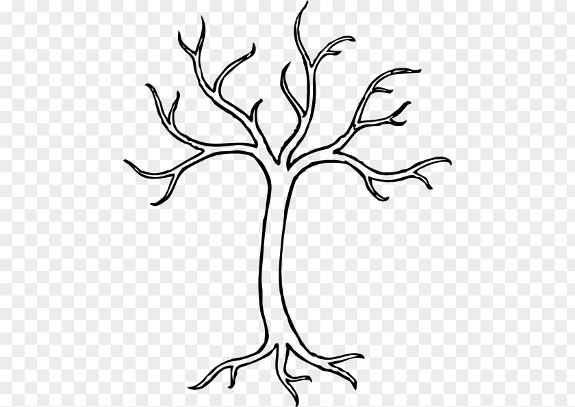 Dogwood Tree Drawing Branch Clip Art PNG