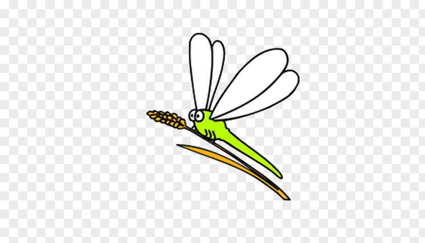 Dragonfly Insect Illustration PNG