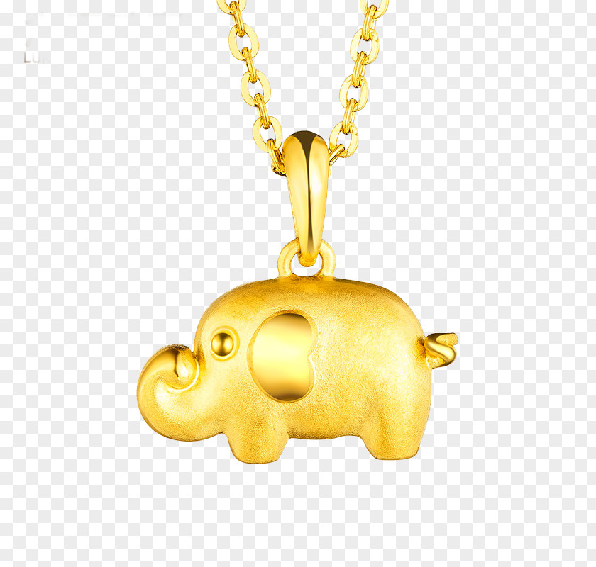 Elephant Pendant Locket Gold Necklace Jewellery U9996u98fe PNG