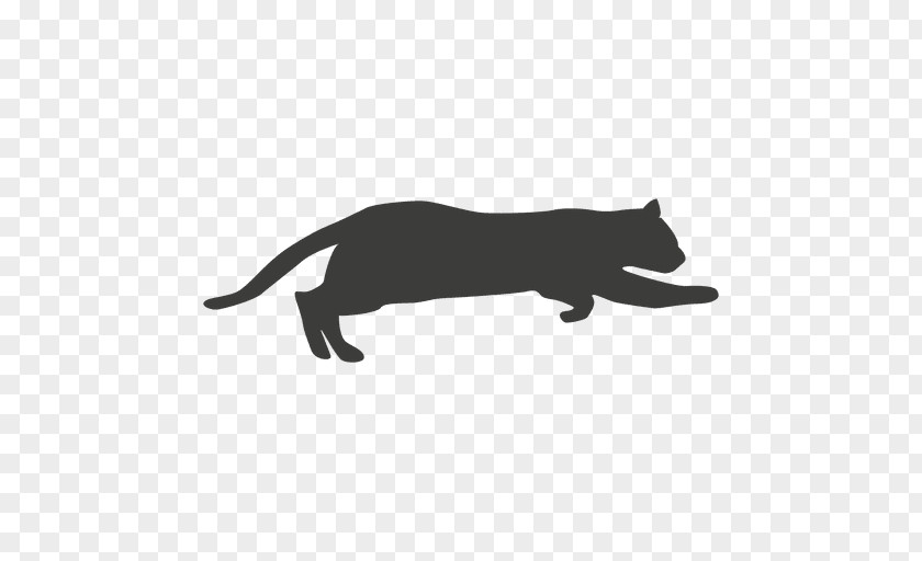 Sequence Vector Black Cat Whiskers Pet PNG