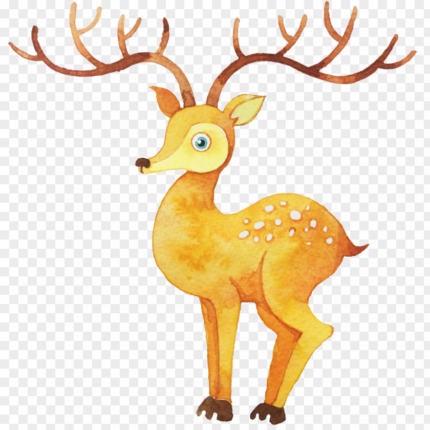 Watercolor Deer Painting Illustration PNG