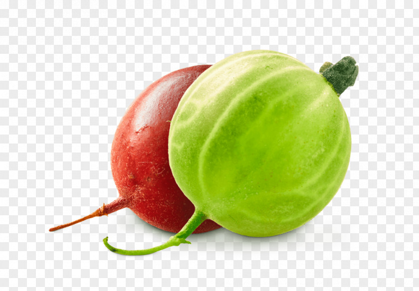 Watermelon Diet Food Superfood Vegetable PNG