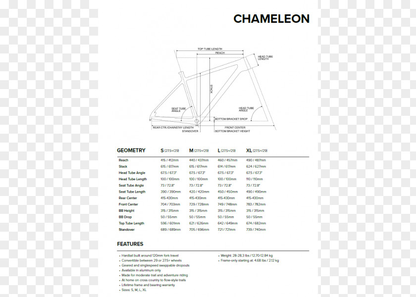 Chameleon Line Angle PNG