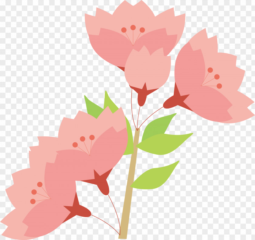 Cherry Flower Floral PNG