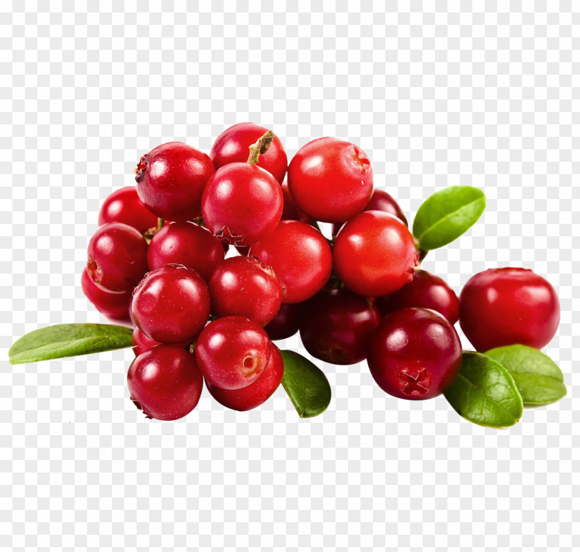 Cherry Picture Material Cranberry Juice Fruit PNG