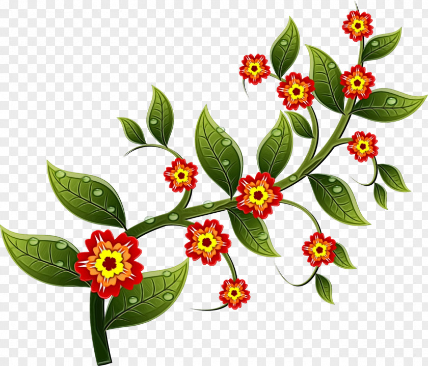 Daphne Herbaceous Plant Watercolor Floral Background PNG