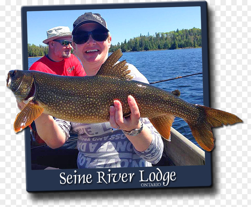 Fishing Ice Quetico Provincial Park Lake Trout Fly PNG