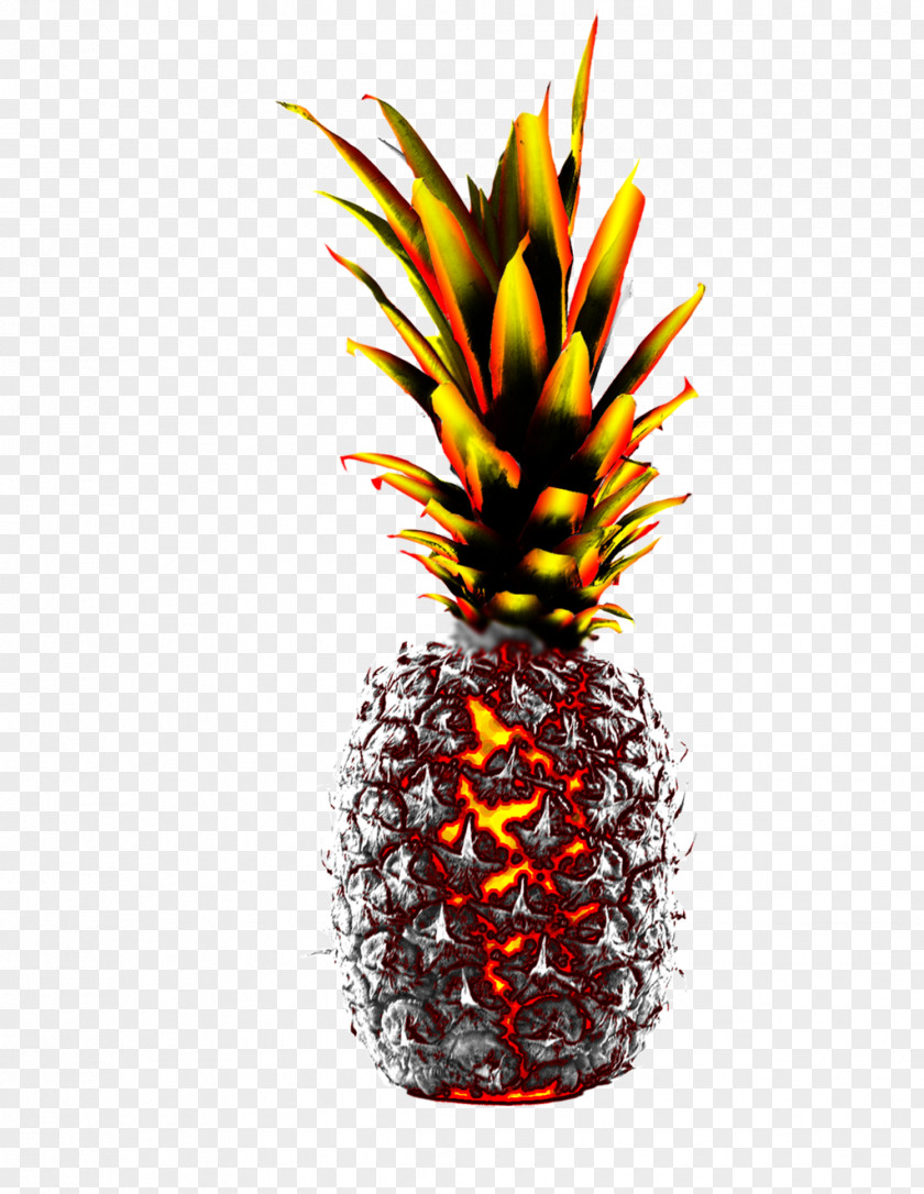 Pineapple Digital Art DeviantArt Data PNG