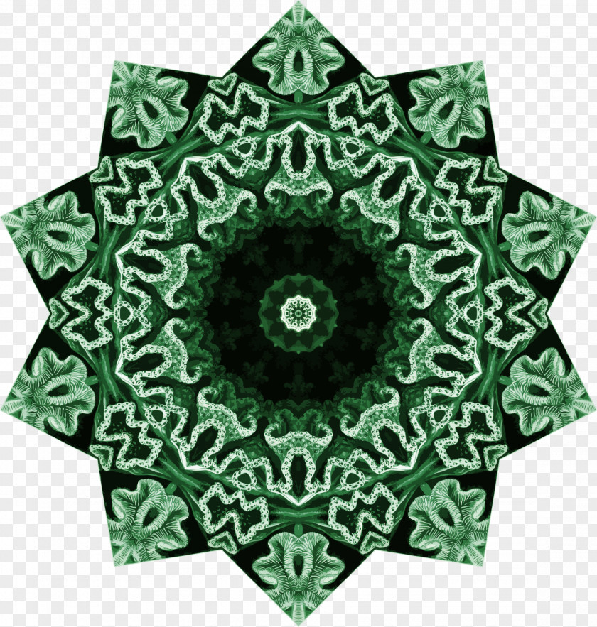 Symmetric Hexacorallia Symmetry PNG