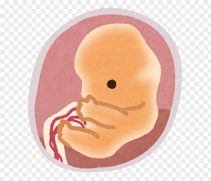 Taiji Cancer Pregnancy Fetus Birth Child PNG