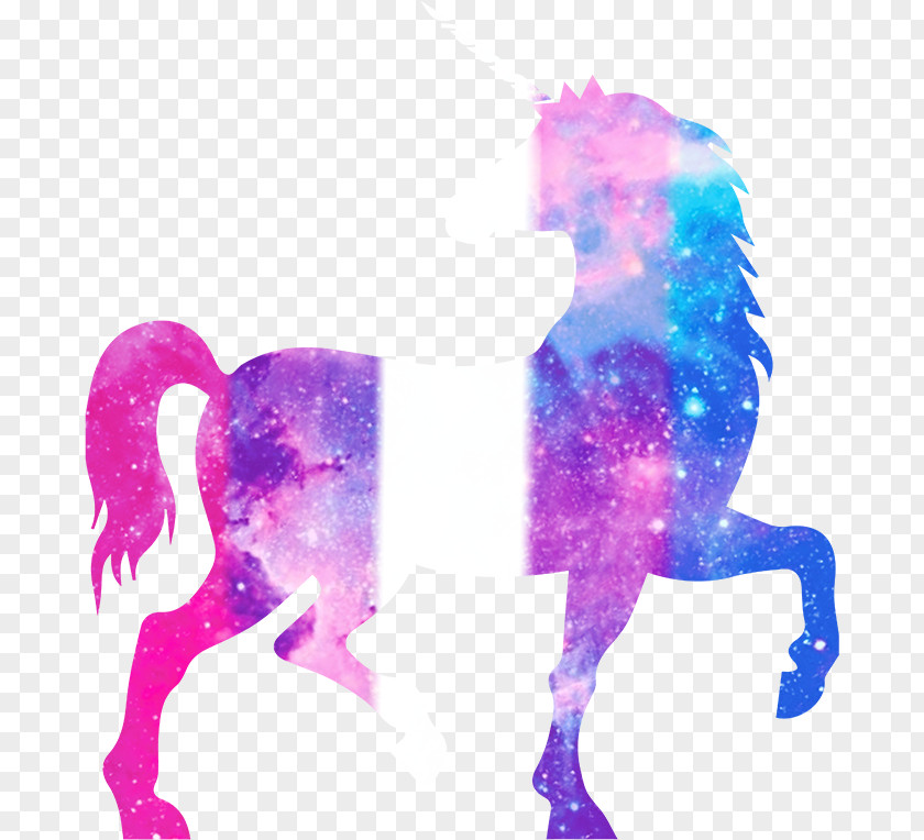 Unicorn Frappuccino Galaxy Ann's Hair Affair & Spa Horse PNG