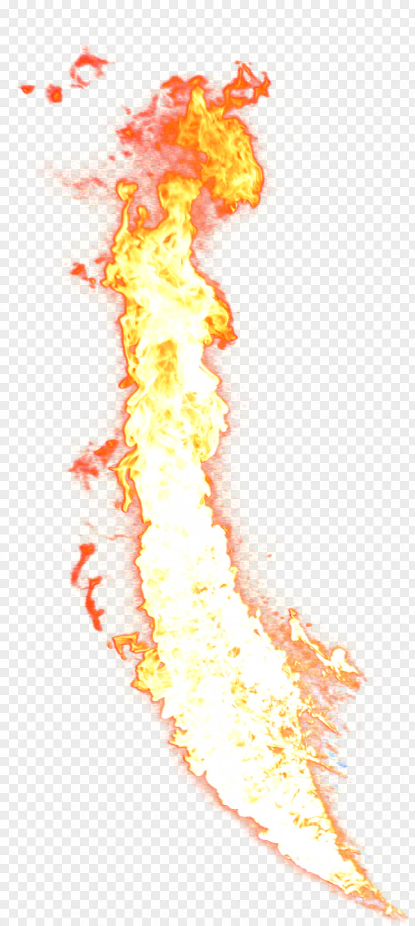 Flame Combustion Fire Euclidean Vector PNG
